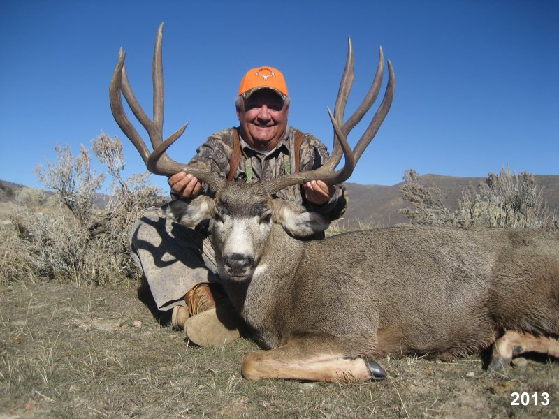 Trophy Mule Deer in Utah