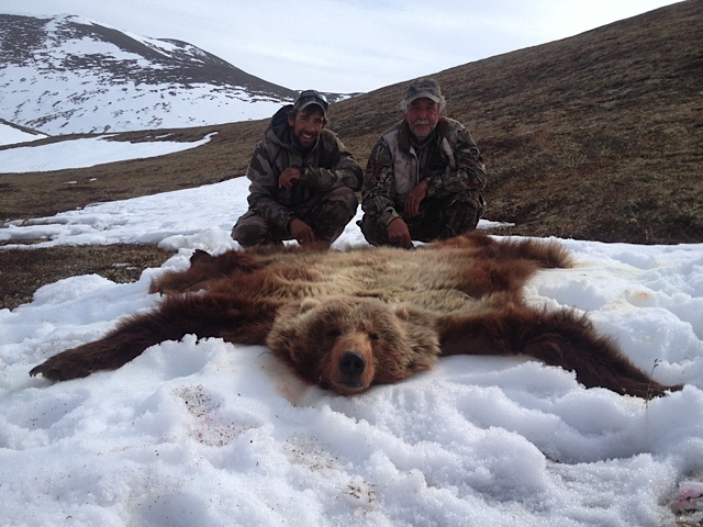 Western Alaska Interior Grizzly Bear Hunt Hide