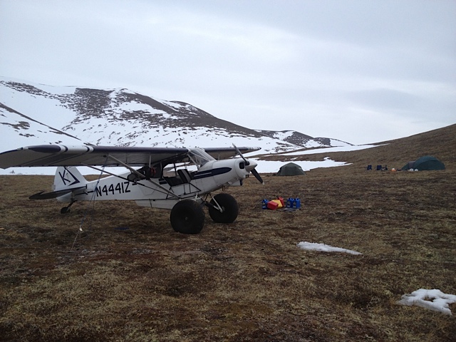 Western Alaska Interior Grizzly Bear Hunt Super Cub Airplane