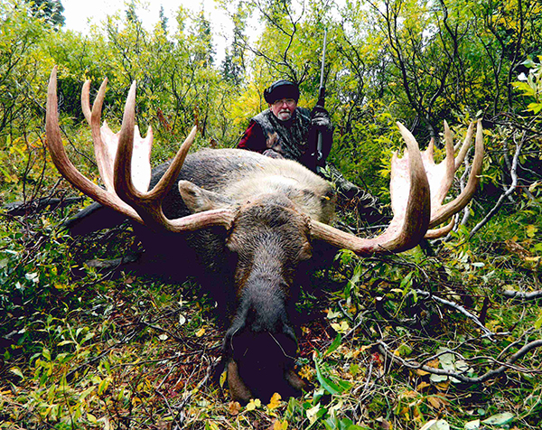 Alaskan Trophy Bull Moose after hunt in 2014