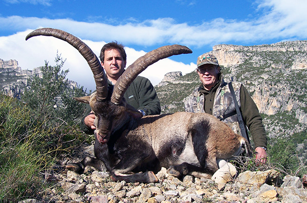 Trophy Beceite Spanish Ibex Hunting Spain