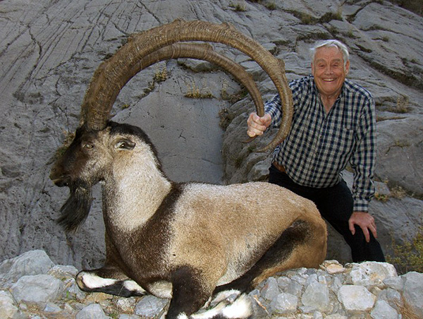 Trophy Bezoar Ibex Hunting in Turkey