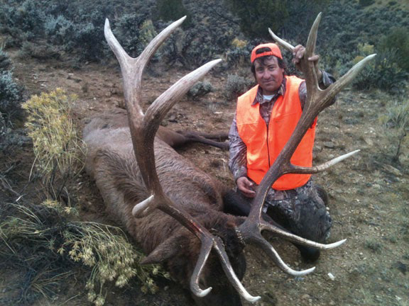 6 point trophy bull elk taken by hunter in Colorado