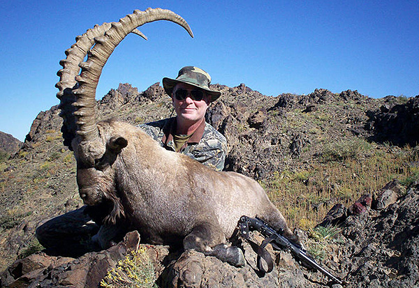 Trophy Gobi Ibex Hunting in Mongolia and Asia