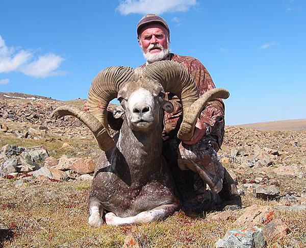 Trophy Hangai Argali Sheep Hunting in Mongolia