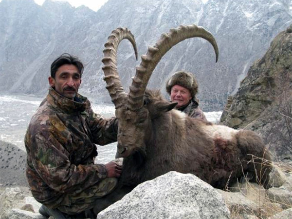 Trophy Himalayan Ibex Hunting in Pakistan