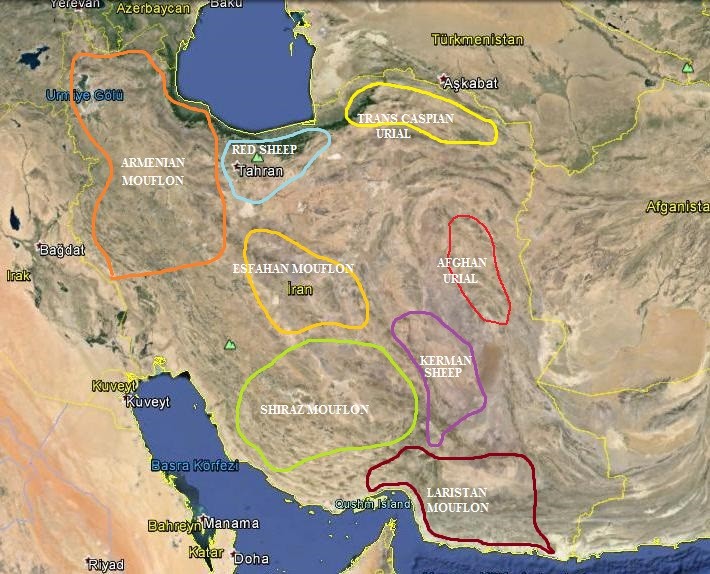 iran-hunting-areas-map
