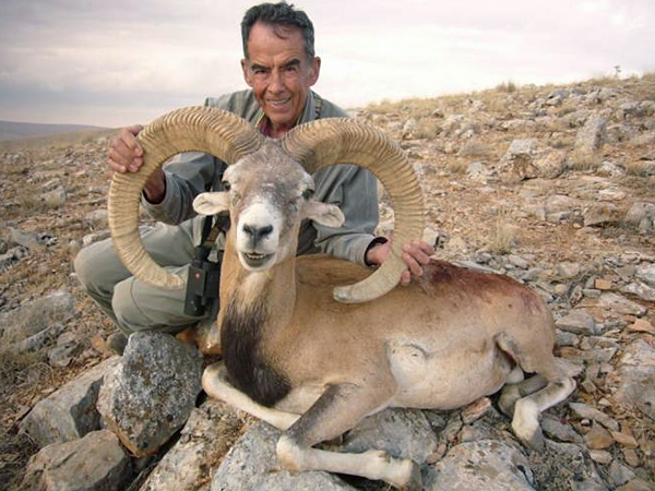 Trophy Konya Mouflon Sheep Hunting in Turkey