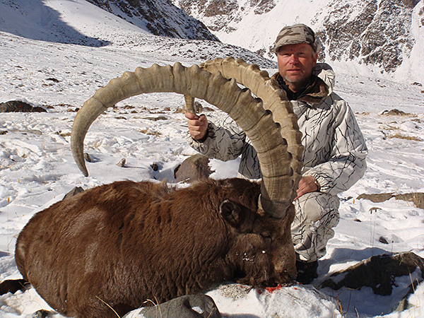 Trophy Mid-Asian Ibex Hunting in Tajikistan