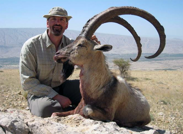 Trophy Sindh Ibex Hunting in Pakistan