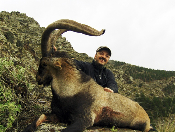 Trophy South Eastern Spanish Ibex Mediterranean Hunting Spain
