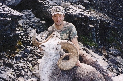 Trophy Canadian Stone Sheep Ram
