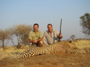 Africa - Namibia - Leopard