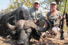 Africa - Zimbabwe - Cape Buffalo