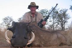 Africa - Zimbabwe - Warthog