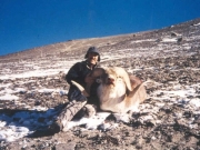 Pamir Marco Polo Argali Sheep Hunting