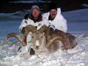 Pamir Marco Polo Argali Sheep Hunting