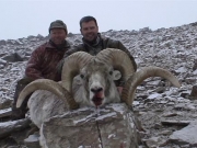 Pamir Marco Polo Argali Sheep Hunting