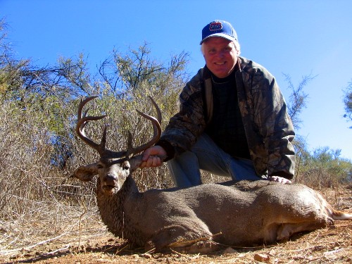 Mexico Coues Deer