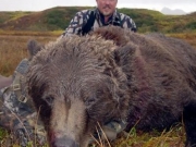 United States - Alaska - Brown Bear