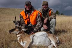 United States - Montana - Pronghorn Antelope