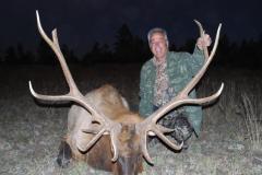 United States - New Mexico - Elk