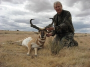 Antelope2-Halstead,-Billings,-NM