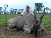 East African Eland Uganda