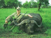 Nile Buffalo Uganda