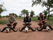 3 Nile Buffalo in Uganda