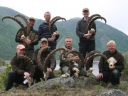 Altai Siberian Ibex group hunting in Russia