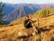 Altai Siberian Ibex hunting in Russia