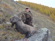 Altai Siberian Ibex hunting in Russia