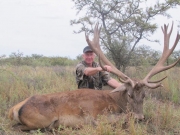 Trophy Red Stag Hunting in Argentina