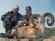 Trophy Blanford Urial Hunting in Pakistan