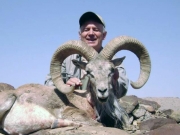 Trophy Blanford Urial Hunting in Pakistan