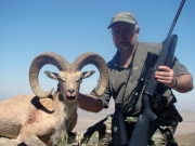 Trophy Blanford Urial Hunting in Pakistan