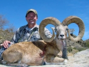 Trophy Blanford Urial Hunting in Pakistan