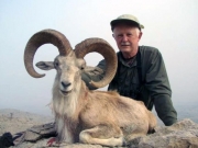 Trophy Blanford Urial Hunting in Pakistan