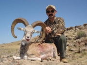 Trophy Punjab Urial HuntingTrophy Punjab Urial Hunting in Pakistan Pakistan