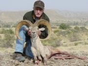 Trophy Punjab Urial Hunting in Pakistan