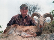 Trophy Punjab Urial Hunting in Pakistan