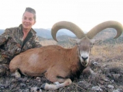 Trophy Konya Mouflon Sheep Hunting in Turkey