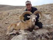 Trophy Konya Mouflon Sheep Hunting in Turkey