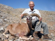 Trophy Konya Mouflon Sheep Hunting in Turkey