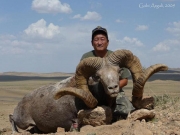 Trophy Gobi Argali Sheep Hunting in Mongolia and Asia