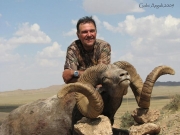 Trophy Gobi Argali Sheep Hunting in Mongolia and Asia