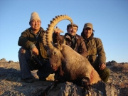 Trophy Gobi Ibex Hunting in Mongolia