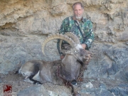 Trophy Gobi Ibex Hunting in Mongolia