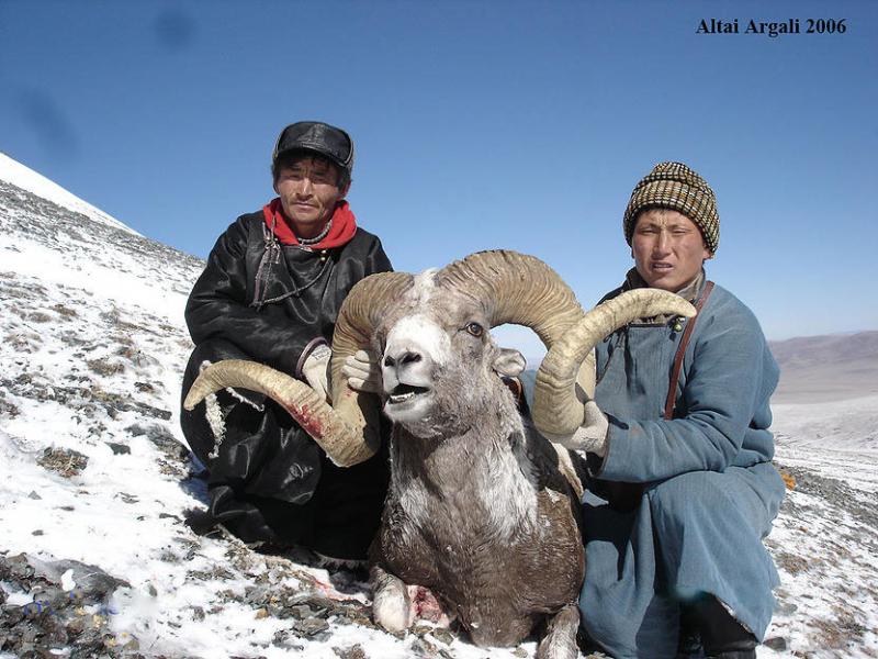 hunting trips mongolia